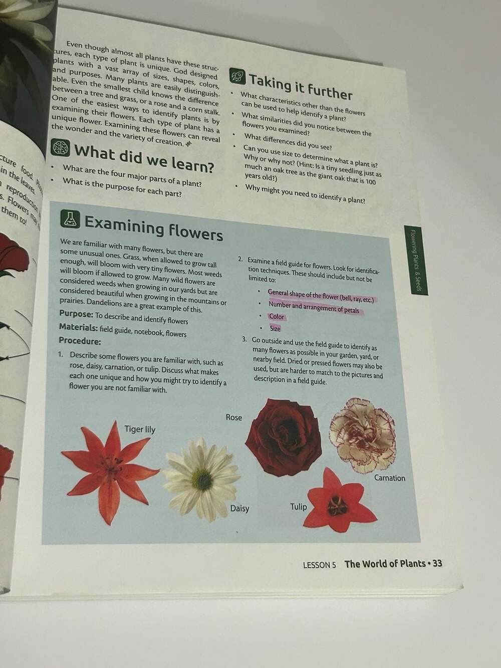 MasterBooks God's Design for Life (Student Edition) - Picture 4 of 4